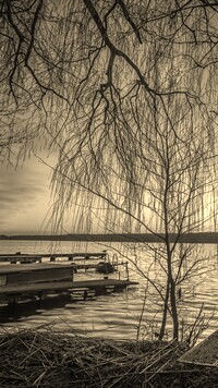 Szary + Sepia