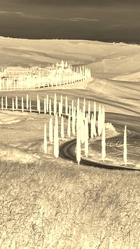 Sepia + Negatyw