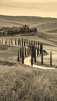 Sepia