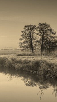 Szary + Sepia