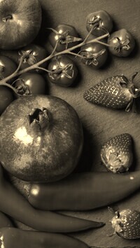 Szary + Sepia