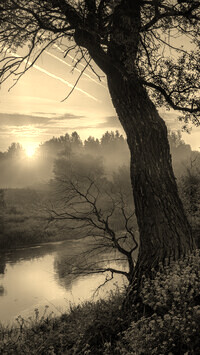 Sepia