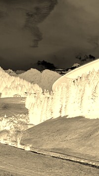 Sepia + Negatyw