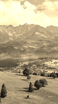 Sepia