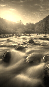 Sepia
