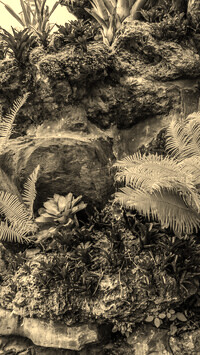 Szary + Sepia