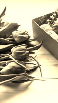 Szary + Sepia
