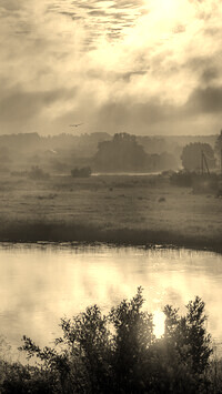 Szary + Sepia