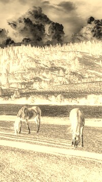 Sepia + Negatyw