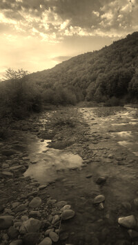 Sepia