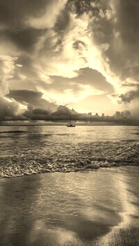 Szary + Sepia