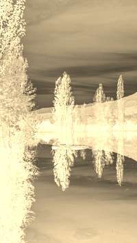 Sepia + Negatyw