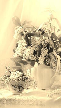 Szary + Sepia