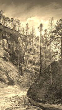 Szary + Sepia