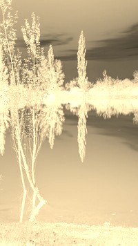 Sepia + Negatyw