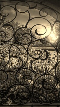 Szary + Sepia