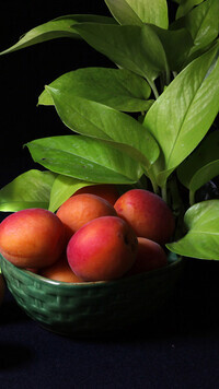 Oryginalny obrazek