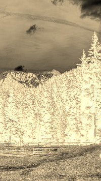 Sepia + Negatyw