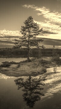 Szary + Sepia