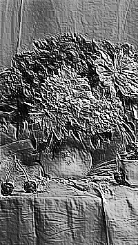 Skamielina