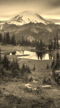 Sepia