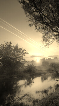 Szary + Sepia