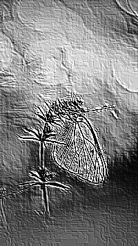 Skamielina