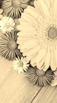 Szary + Sepia