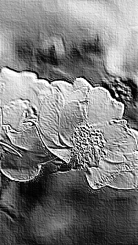 Skamielina