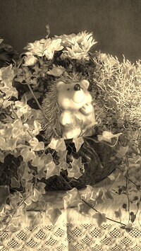 Szary + Sepia