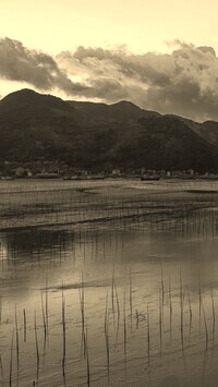 Sepia