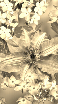Szary + Sepia