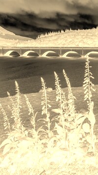 Sepia + Negatyw