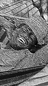Skamielina