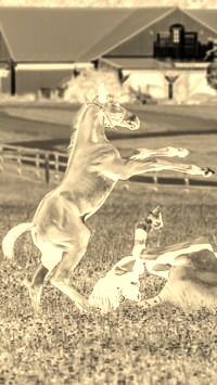 Sepia + Negatyw
