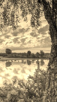Sepia