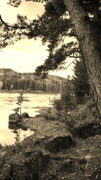 Sepia
