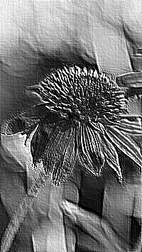 Skamielina