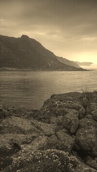 Sepia