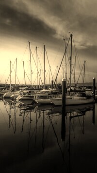Szary + Sepia