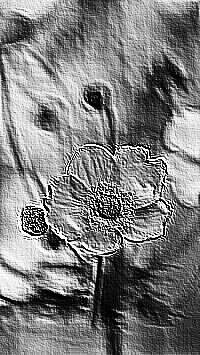 Skamielina