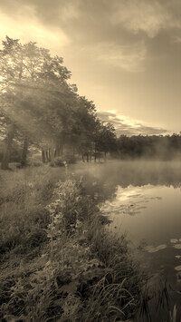 Sepia