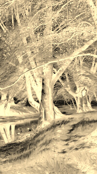Sepia + Negatyw