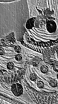 Skamielina
