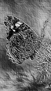 Skamielina