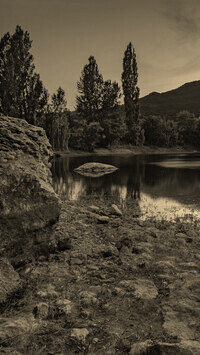 Szary + Sepia