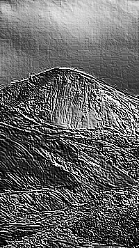 Skamielina