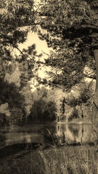 Szary + Sepia