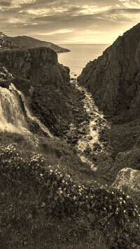 Szary + Sepia