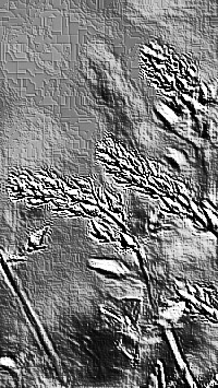 Skamielina